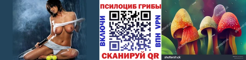 Галлюциногенные грибы Psilocybe  blacksprut ONION  Каневская 
