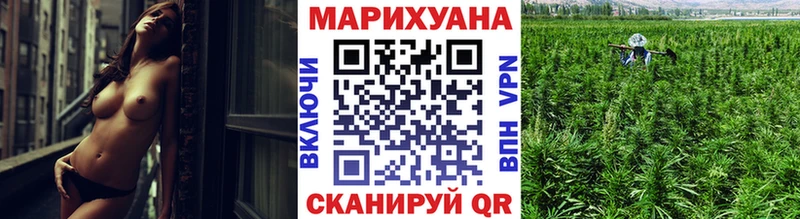Марихуана планчик  Каневская 